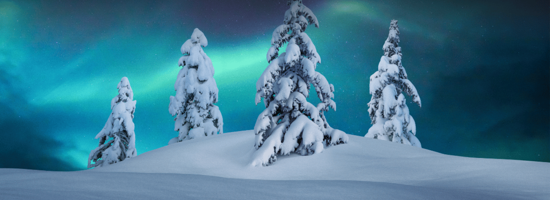 year-in-review-2025 (2)